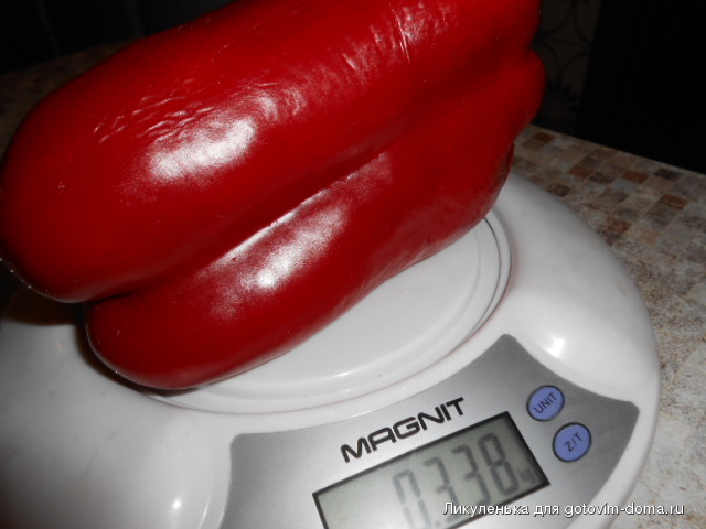 DSCN7198.JPG