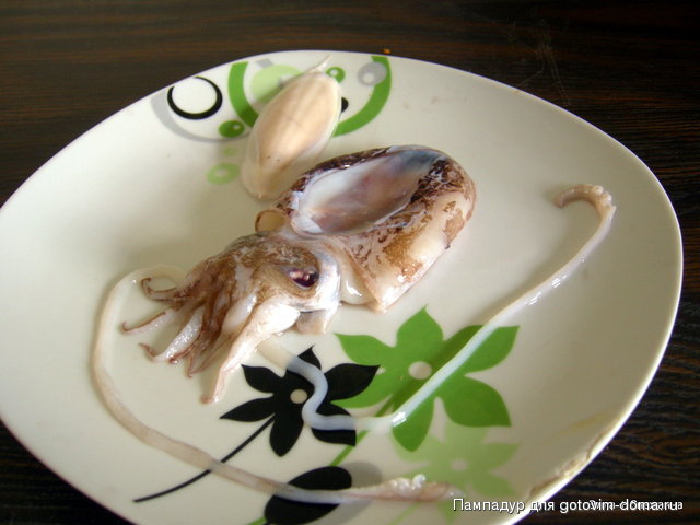 DSCN0499.JPG