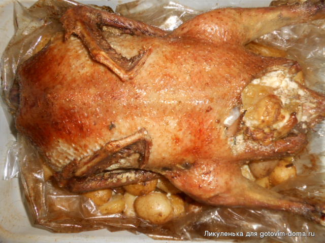 DSCN1776.JPG