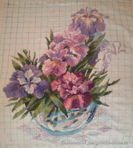 ирисы 10.10.jpg