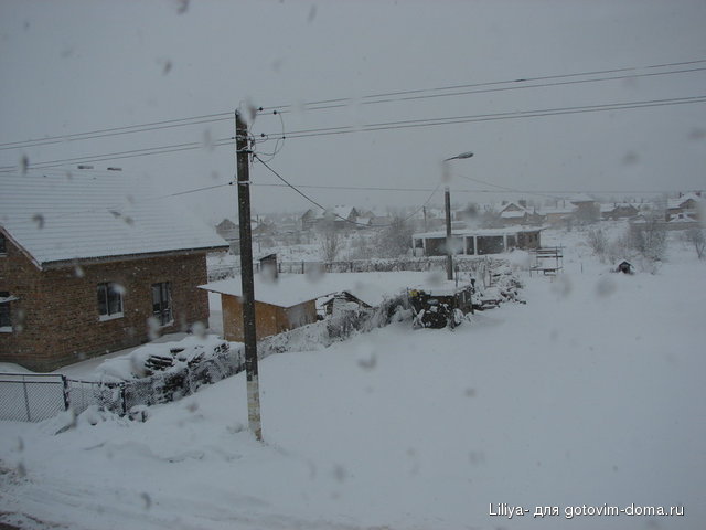 DSC00268 1 (8).JPG