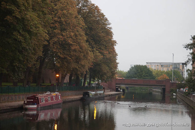 IMG_5592.jpg