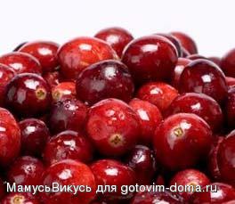 default_large_image_1-973.jpg