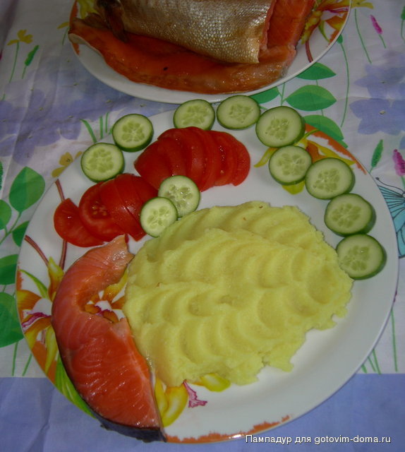 DSCN9528.JPG