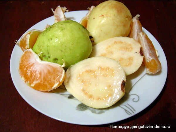 DSCN9002.JPG