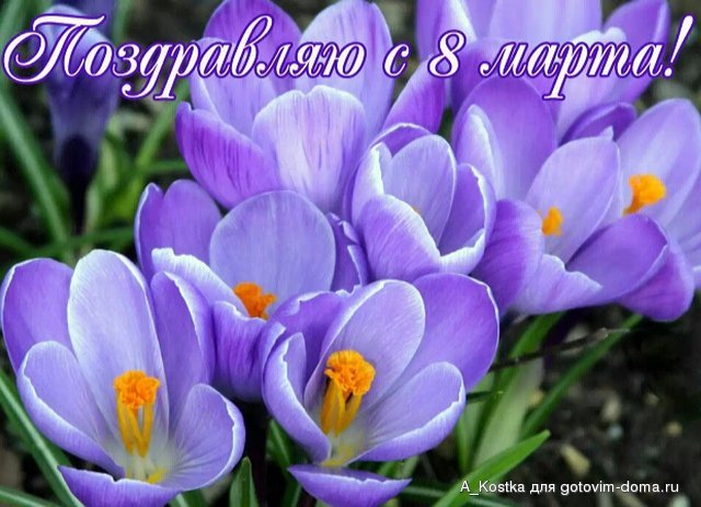 2016-03-08 14.58.52.jpg