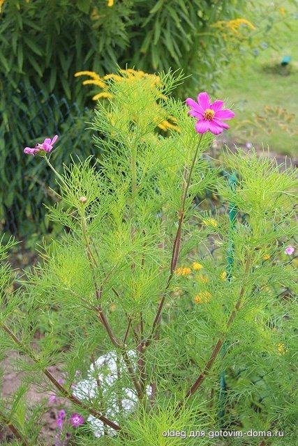 2013_08_11_1464.jpg