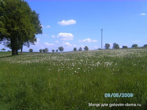 Fotoalbom 008.JPG