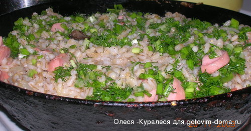 DSCN5329.jpg