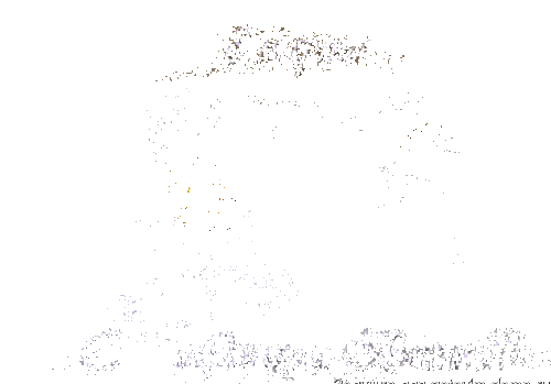 40513407_750328d04411.gif