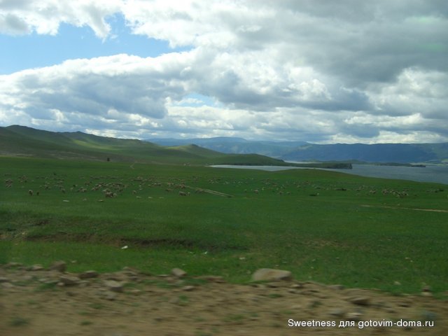 STP63574.JPG