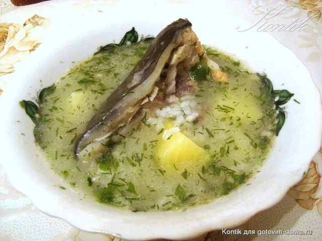 DSC05968.JPG