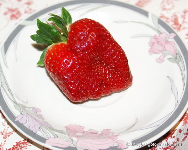 DSC00178.jpg