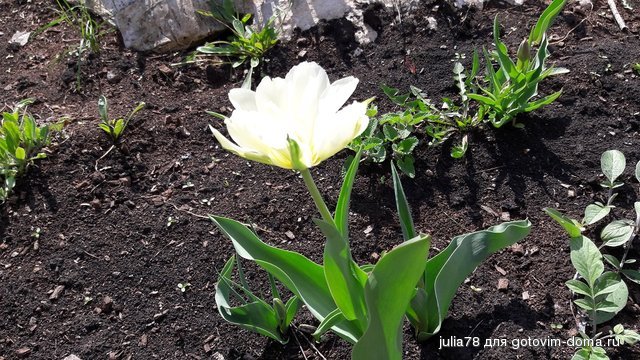 20160425_134312.jpg