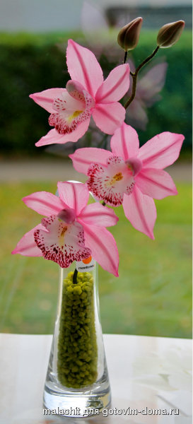 cumbidium.jpg
