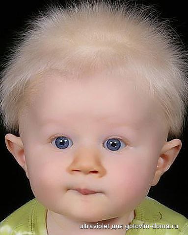 2384542506.jpg