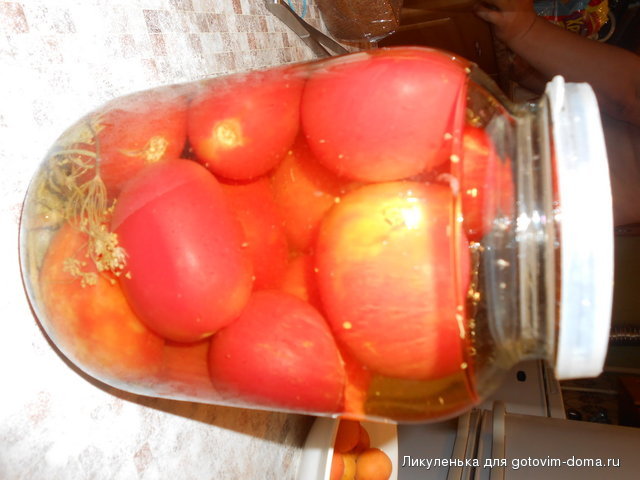 DSCN1657.jpg