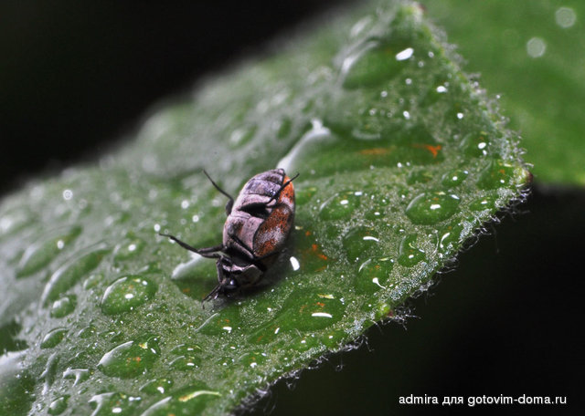 DSC_0353 k.jpg