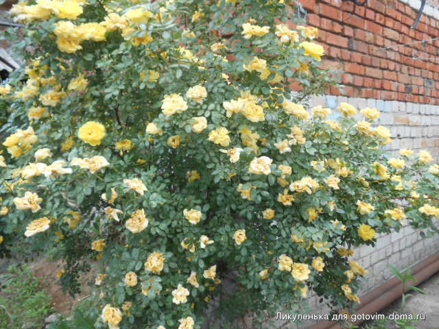DSCN5948.JPG