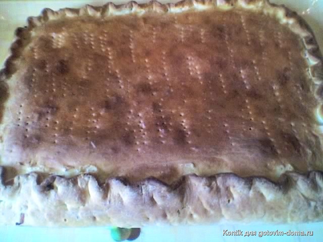 28-03-09_1800.jpg