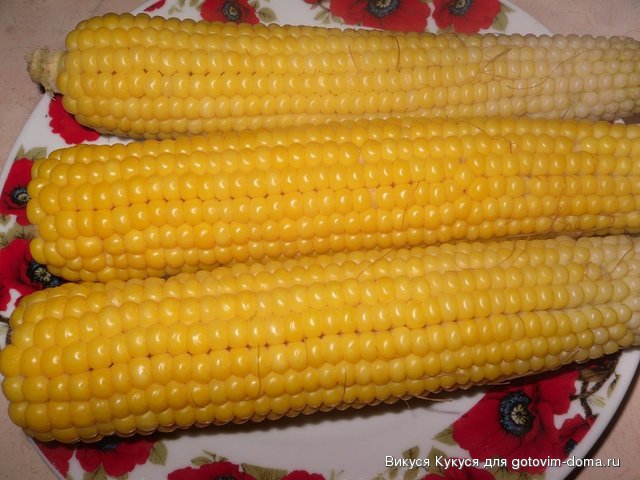 кукуруза.jpg