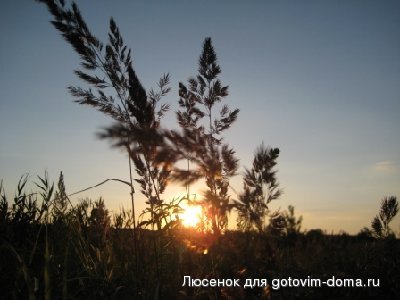 01 057.jpg