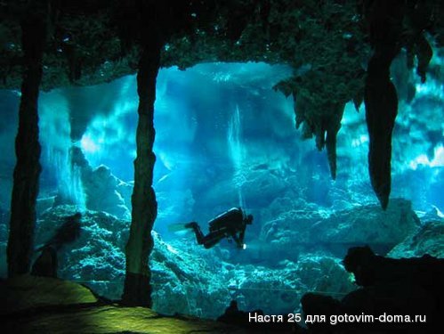 55020548_1265842001_scubadiving.jpg