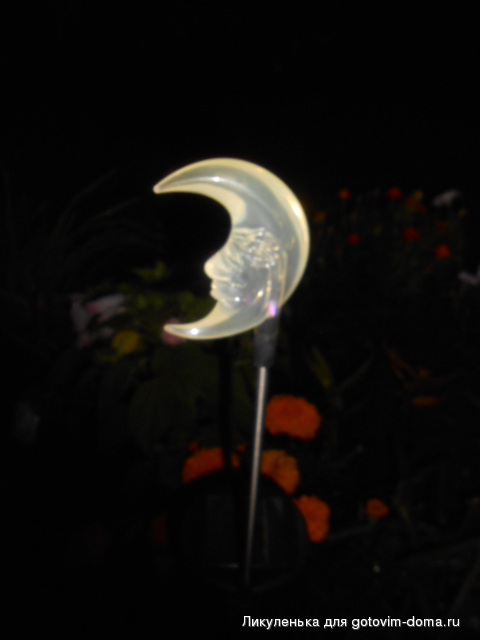 DSCN1206.JPG