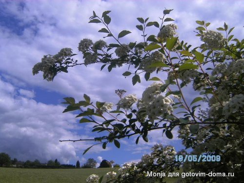 Fotoalbom 032.JPG
