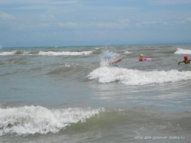 DSCN1686.JPG