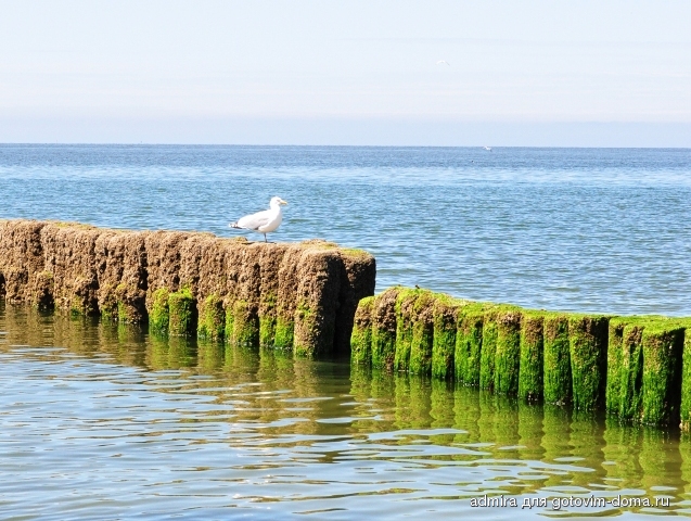 DSC_0501 k.jpg