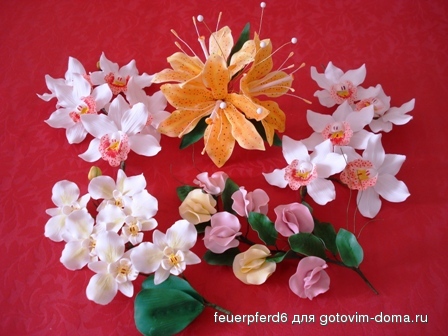 rezepte 011.jpg