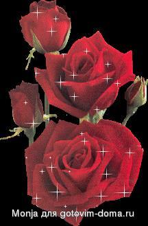 blume (2).jpg