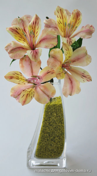 alstromeria.jpg