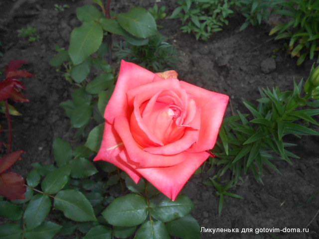 DSCN0094.JPG