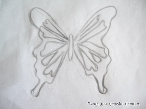 бабочки.jpg