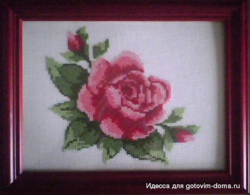 IMG0037A.jpg