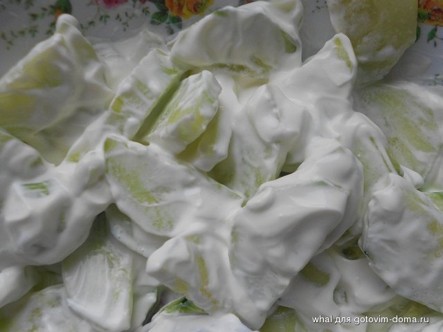 DSCN6535.JPG