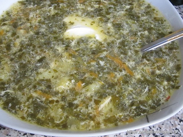 19.09. Борщ зелёный.JPG
