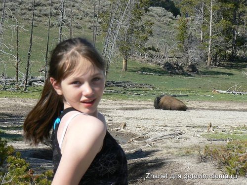 yellowstone 082.JPG