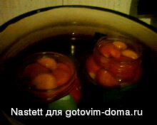 IMG0169A.jpg