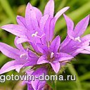 марианна.jpg