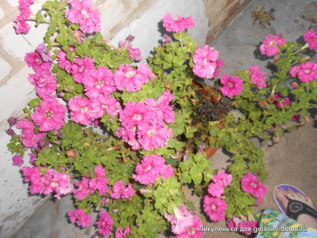 DSCN1189.JPG