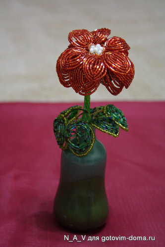 IMG_6098__.jpg