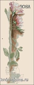 Lanarte-Rose.jpg