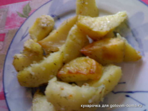 картофель.jpg