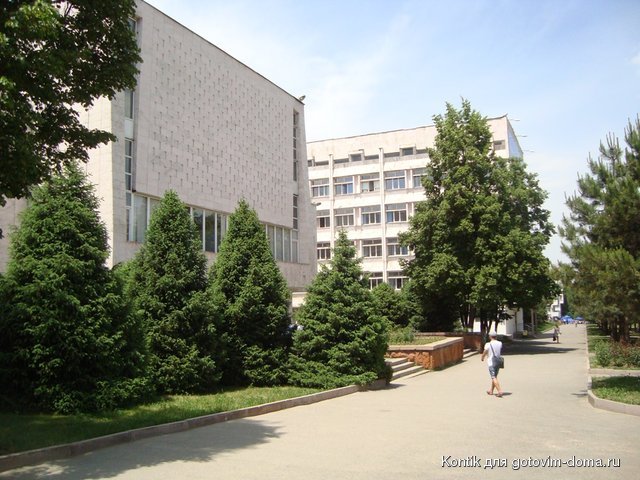 DSC05358.JPG