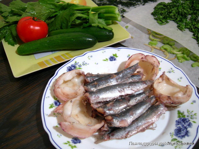 DSCN1558.JPG