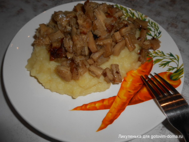 DSCN6736.JPG