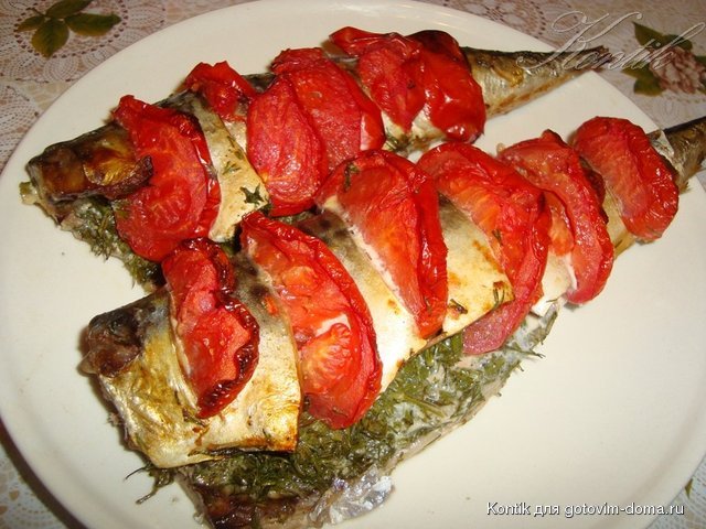 DSC07811.JPG